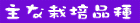 Ȏ戵i 